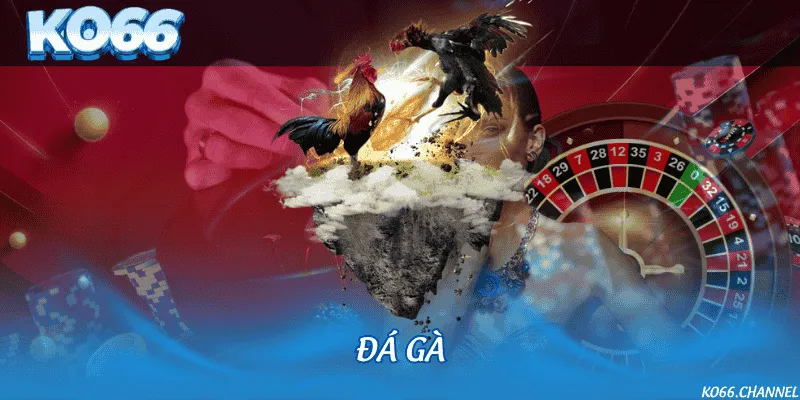 Đá gà